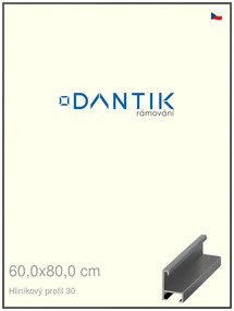 DANTIK rám na obraz 60x80 | ALU Dýha barevná šedá tmavá (Plexi Čiré)