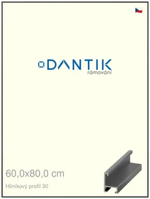 DANTIK rám na obraz 60x80 | ALU Dýha barevná šedá tmavá (Plexi Čiré)