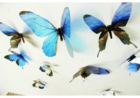 Sada 18 modrých adhezívnych 3D samolepiek Ambiance Butterflies