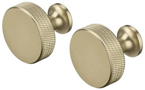 Nástenné kovové háčiky v súprave v mosadznej farbe 2 ks Rof – Blomus