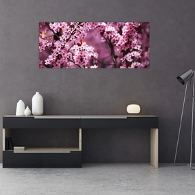 Obraz - Ružová sakura (120x50 cm)