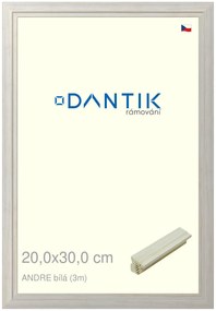 DANTIK rám na obraz 20x30 | ANDRE Bílá (Sklo Čiré)
