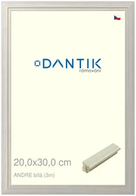 DANTIK rám na obraz 20x30 | ANDRE Bílá (Sklo Čiré)
