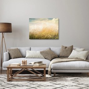 Sklenený obraz - Pole na jeseň (70x50 cm)