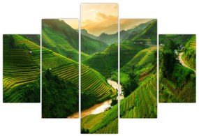 Obraz - Ryžové terasy Mu Cang Chai (150x105 cm)