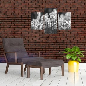 Obraz - Letná lúka (90x60 cm)