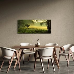 Obraz - Prebúdzajúci sa les (120x50 cm)