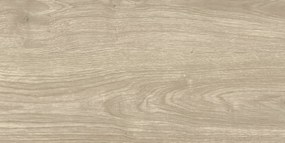 Dlažba Multi Salem sivá 30x60 cm mat SALEM36GR