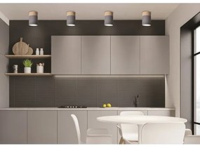 Stropné svietidlo TUBA GU10/15W/230V