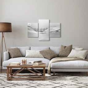 Obraz - Strieborná krajina (90x60 cm)