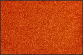 TC-Lapač nečistôt- oranžová 40x60 cm