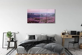 Obraz plexi Poľné vresy 125x50 cm
