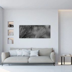 Obraz - Sušená pampová tráva (120x50 cm)