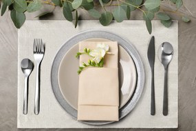 SADA 4 KS PRESTIERANIE NA STÔL INES2 32X45 CM KRÉMOVÁ