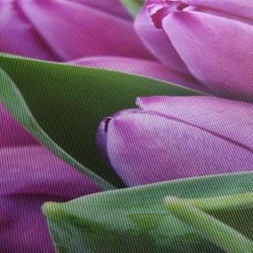 Obraz - kvety tulipánov (150x105 cm)