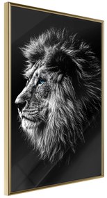 Artgeist Plagát - Blue-eyed Lion [Poster] Veľkosť: 30x45, Verzia: Zlatý rám