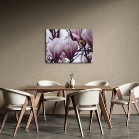 Obraz - Magnolie (70x50 cm)
