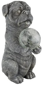 Globo 33889 - LED Solárna dekorácia LED/0,02W/3V IP44 pes