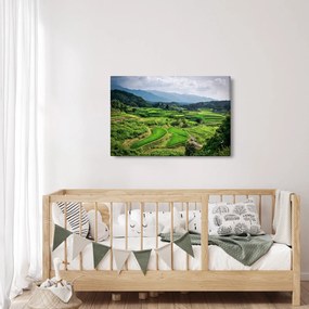 Obraz ryžových polí (90x60 cm)