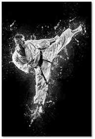 Gario Obraz na plátne Karate - Cornel Vlad Rozmery: 80 x 120 cm