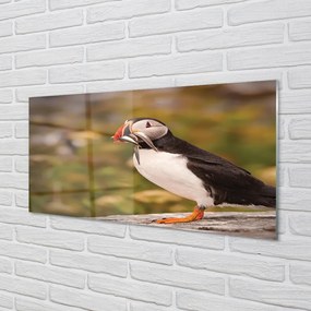 Nástenný panel  Papagáj 100x50 cm