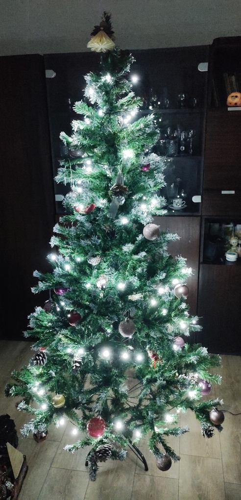 Užívateľská fotografia